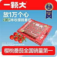 【公开！】一颗大！玲珑串樱桃番茄1kg/盒