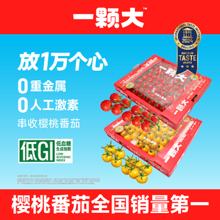 【一颗大】玲珑串樱桃番茄新鲜自然熟孕妇生吃水果西红柿1kg/盒