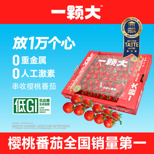 一颗大串番茄水果樱桃番茄