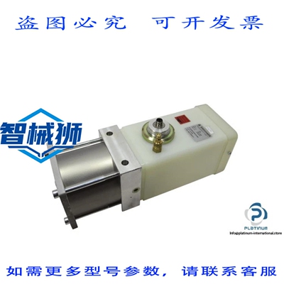 原装供应 BIELOMATIK AM 单活塞泵-25.0 CM3/行程-30011588-07022