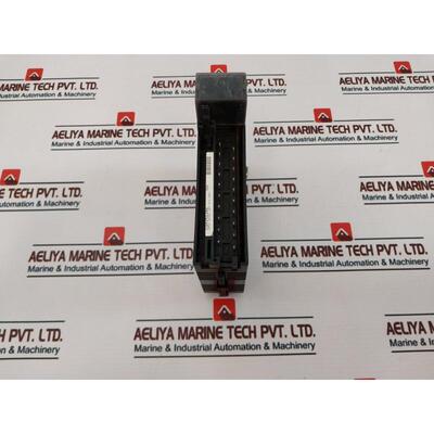 原装供应Ge Fanuc IC693MDL646G 输入模块 24Vdc