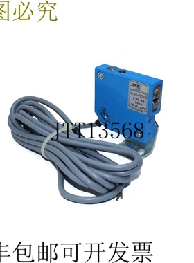 西克WL10-9313 1004004