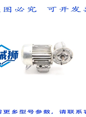 原装供应 伦泽齿轮电机 MM56P4 220/240V.8A 1380RPM SSN31-1MVCL