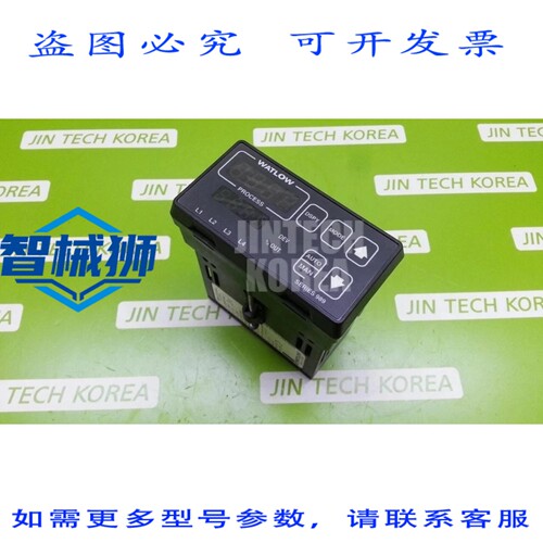 原装供应 WATLOW 989系列 989A-22CA-NARG 控制器