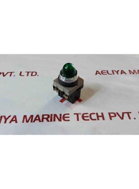 原装供应Maruyasu Dengyo lpe-400g 飞行员灯