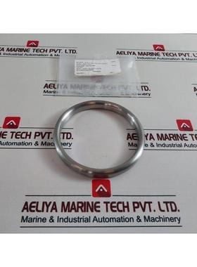 原装供应Teadit ASME B16.20 缓冲环 R37