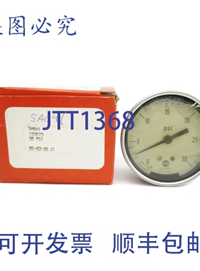 原装供应AMETEK 153573 0-30PSINSMP