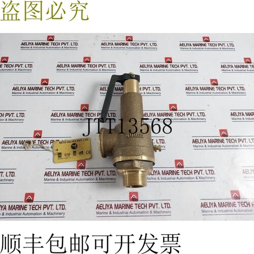 原装供应Neta阀门WJ 40毫米弹簧安全阀CX75928