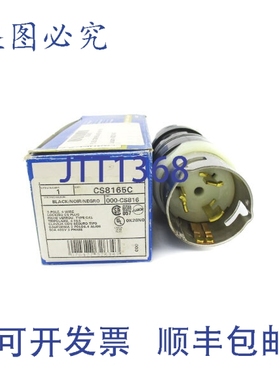 原装供应利维顿 CS8165C 480V 50A NSMP