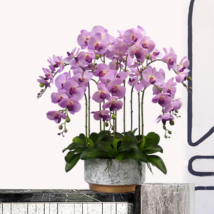 蝴蝶兰仿真花高档手感兰花假花盆栽玄关客厅餐桌前台装饰花艺摆件