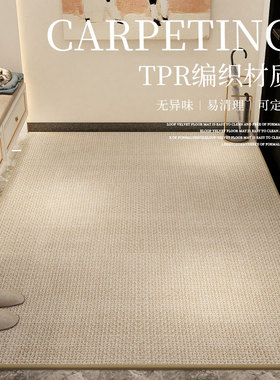 奶油风入户门地垫TPR纯色法式客厅地毯门垫进门家用玄关脚垫耐脏