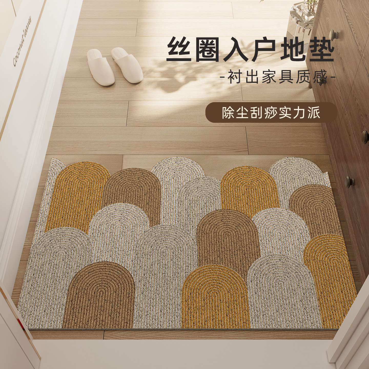 入户门地垫丝圈耐脏防滑免洗脚垫