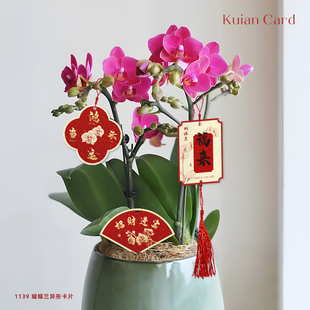 蝴蝶兰装 饰吊牌红色喜庆年宵花挂饰办公室盆栽鲜切花财新年挂卡