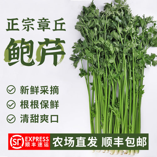 新鲜特级鲍芹礼盒装芹菜顺丰包邮