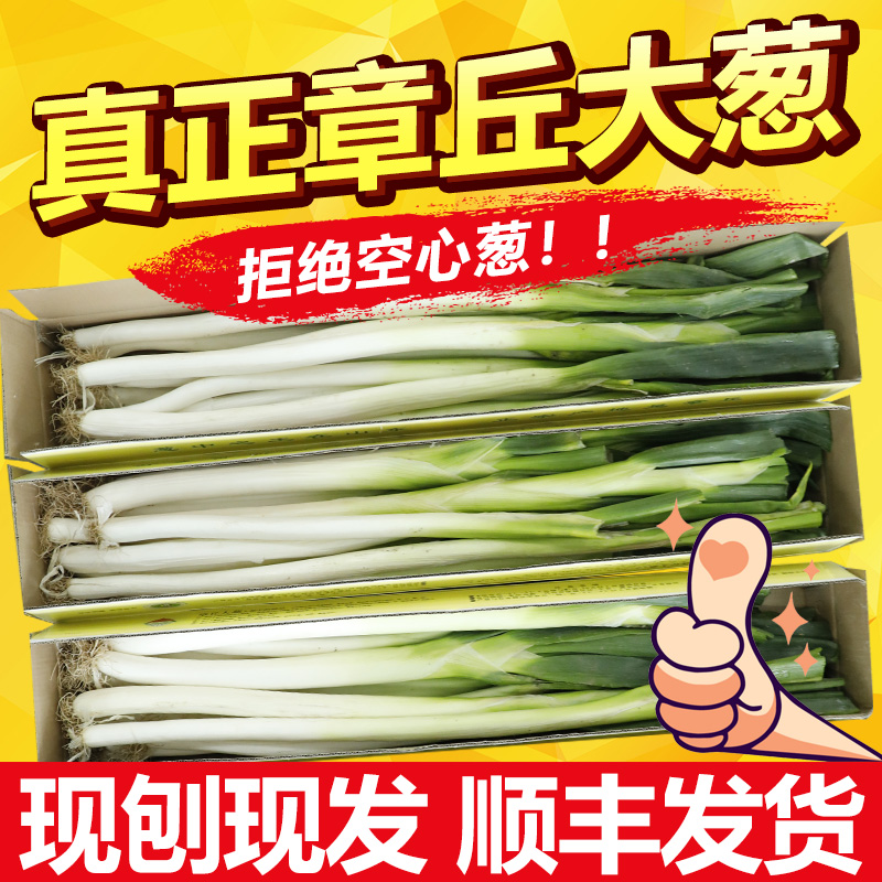 正宗特级章丘大葱礼盒装顺丰包邮