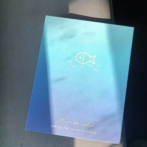 带细闪星渝色小鱼星闪四宫格卡册