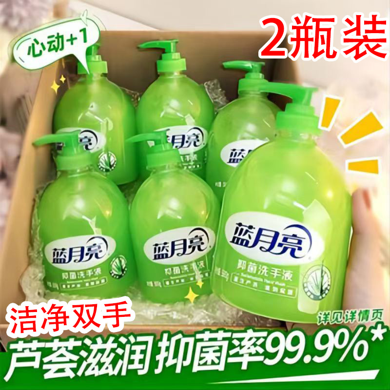 蓝月亮洗手液家庭用抑菌芦荟滋润儿童实惠补充装餐厅学校食堂500g