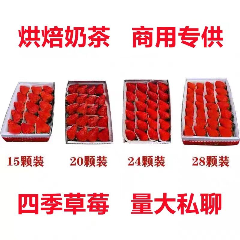 20颗/盒云南现摘新鲜商用草莓草莓