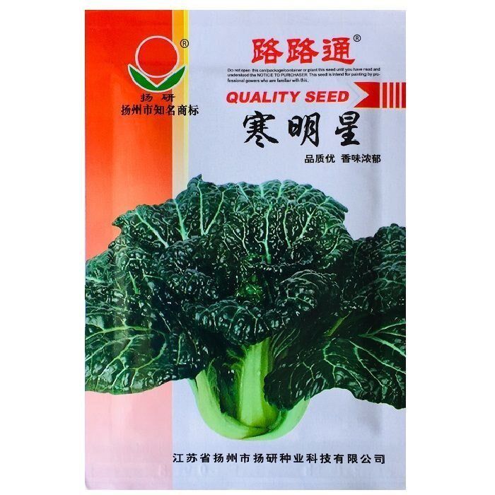 春不老高价菜种子皱叶黑油白菜泡泡青种籽耐寒秋冬季蔬菜青菜种子