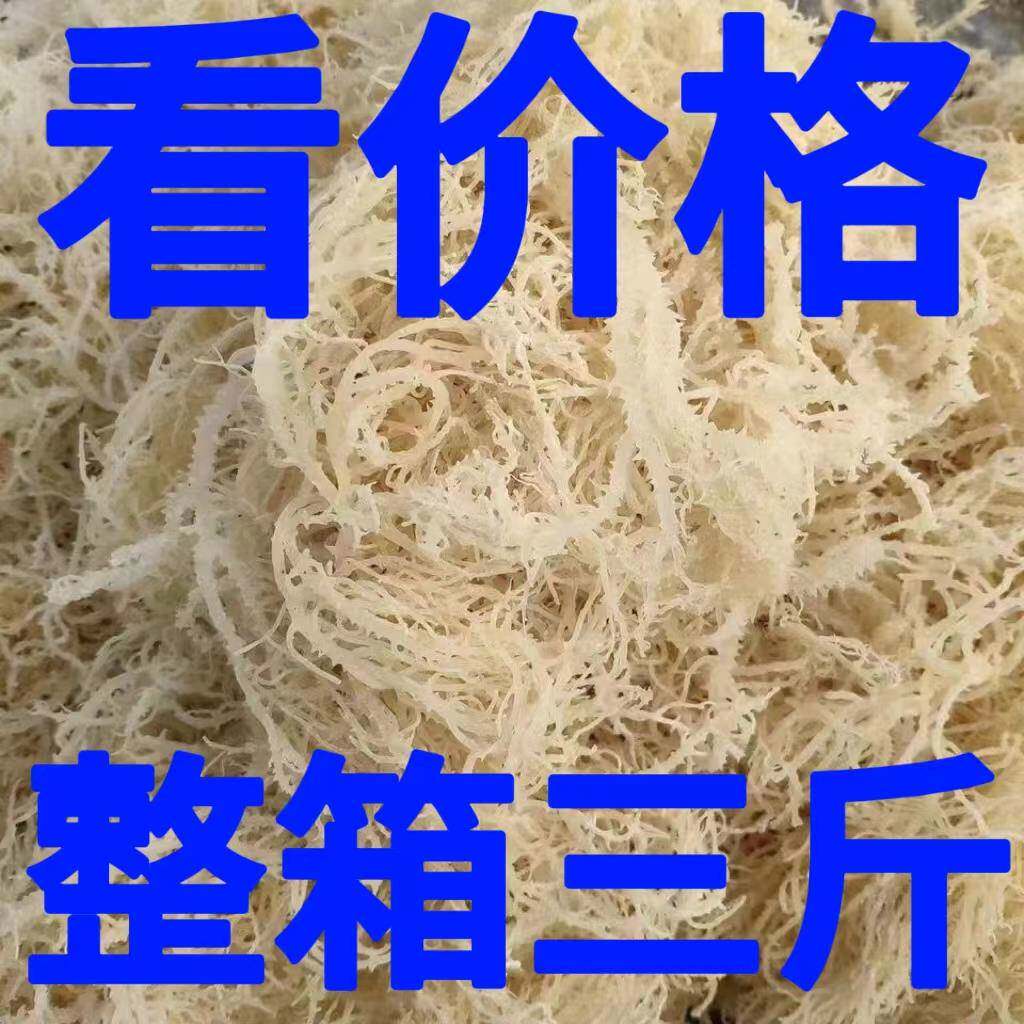 龙须菜干到扎手龙须菜鹿角菜海藻海发菜凉拌菜麒麟菜干货新晒