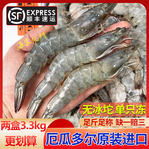 新鲜大虾盐冻锁鲜2030大虾