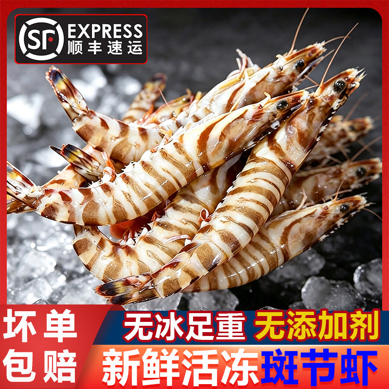 活冻斑节虾无冰竹节虾配料干净九节虾花虾活虾速冻肉质紧实鲜嫩