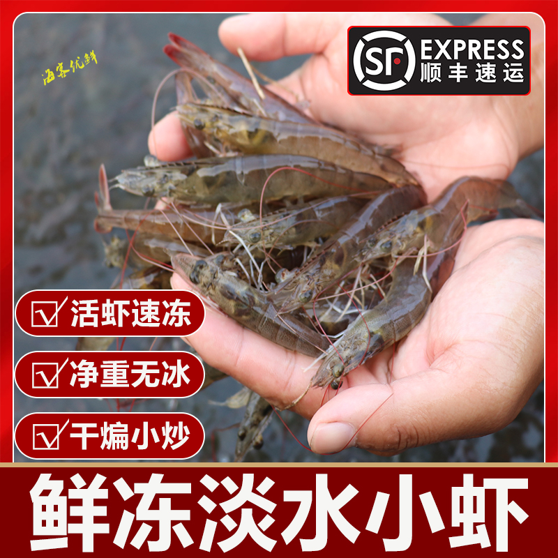 淡水小虾水库放养湖水虾现捕现捞净重无冰可油炸小炒商用发顺丰