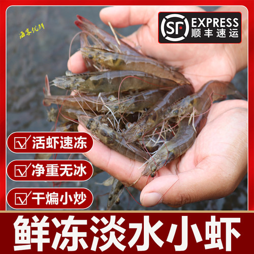 淡水小虾水库放养湖水虾现捕现捞净重无冰可油炸小炒商用发顺丰