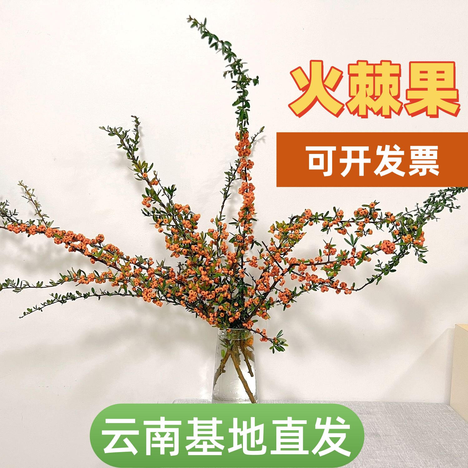 新鲜火棘果沙棘果火把果鲜切枝条云南水养鲜花花材办公室室内插花