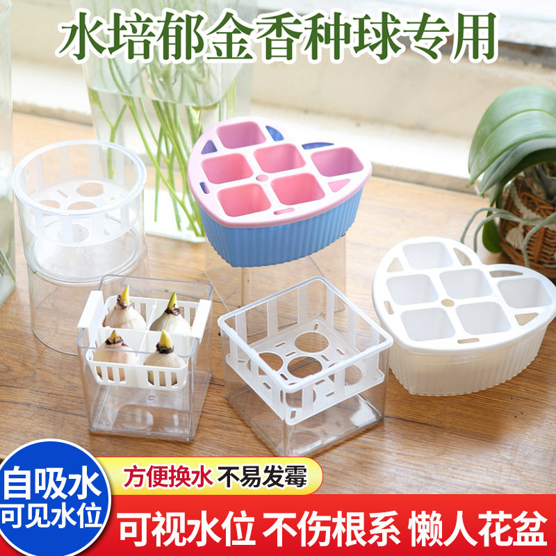 水仙花盆水培器皿郁金香水培种球专用花盆风信子三孔五孔透明懒人