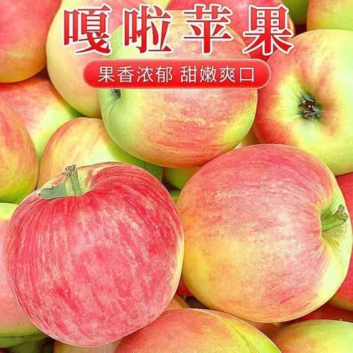 正宗嘎啦果3斤当季新鲜苹果整箱脆甜冰糖心富士苹果香脆甜多汁5斤