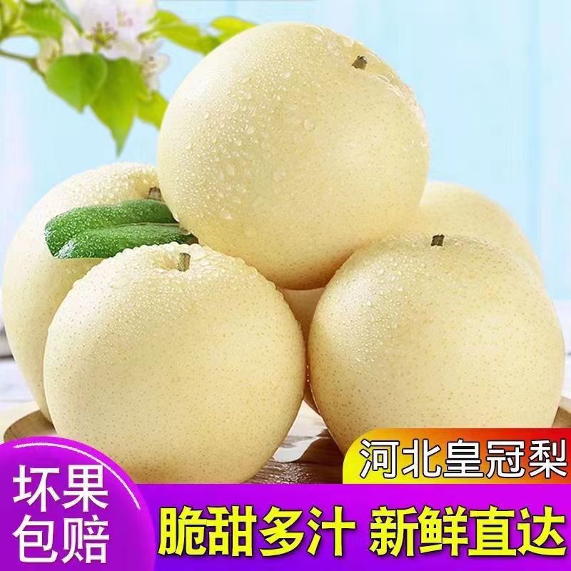 正宗皇冠梨子新鲜水果鸭梨雪梨砀山梨翠冠梨当季整箱包邮