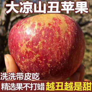 原产地发货整 包邮 新鲜盐源苹果水果整箱10斤 正宗大凉山丑苹果当季