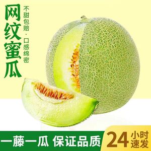 山东玫珑网纹蜜瓜 冰淇淋甜瓜当季新鲜水果整箱5斤包邮