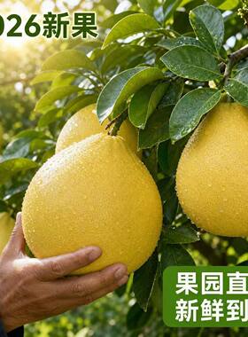 广东黄心柚子蜜柚新鲜水果应当季整箱葡萄黄肉叶琯溪