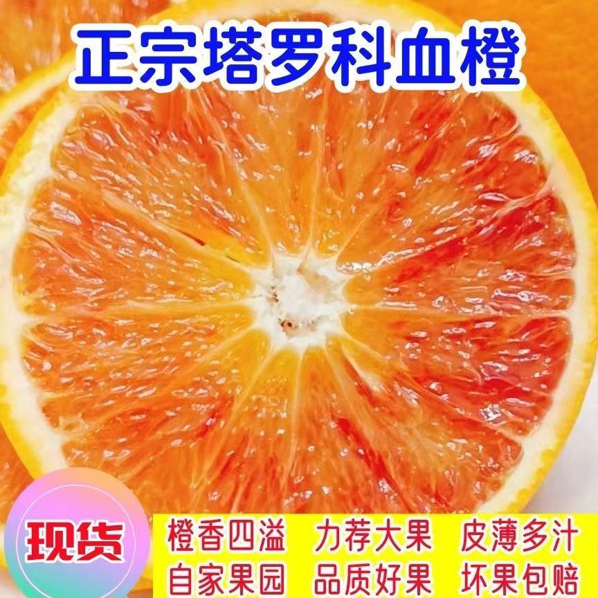 正宗四川资中塔罗科血橙新鲜水果现摘红肉橙子手剥橙超甜
