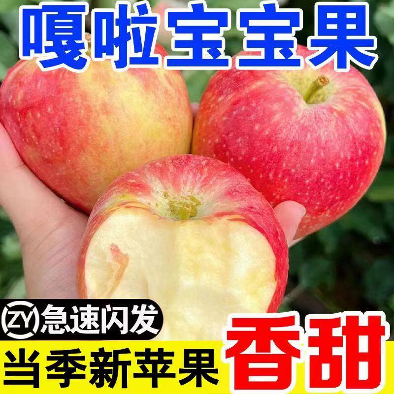 嘎啦苹果新鲜水果当季整箱5斤陕西红富士脆甜冰糖丑青小平果包邮
