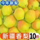 新疆库尔勒母梨子2025新鲜孕妇水果当季 现摘现发大果香梨5斤整箱