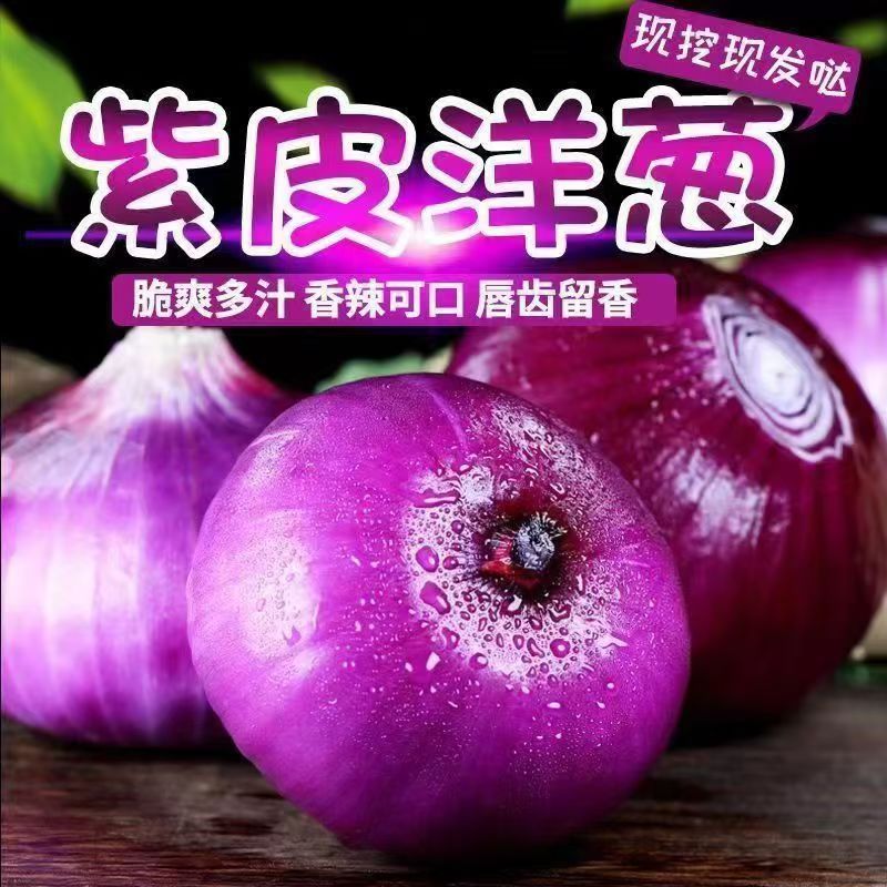 2026新鲜现挖紫皮水果洋葱脆嫩多汁时令蔬菜当季扁葱生吃脆甜批发