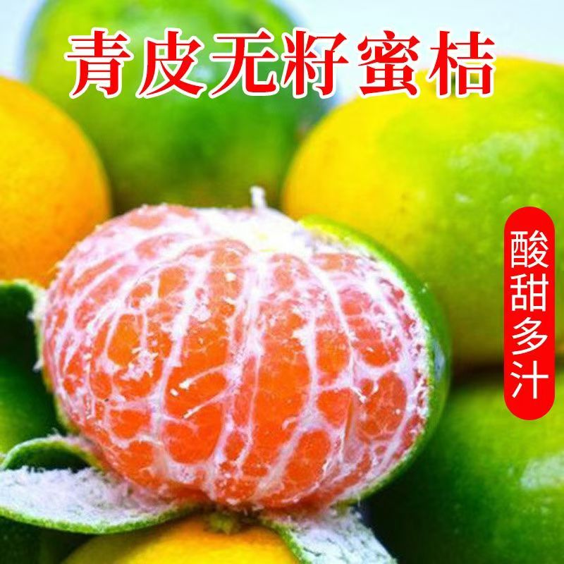 青皮蜜桔青皮桔子橘子云南特酸新鲜桔子应季水果绿皮酸甜多汁