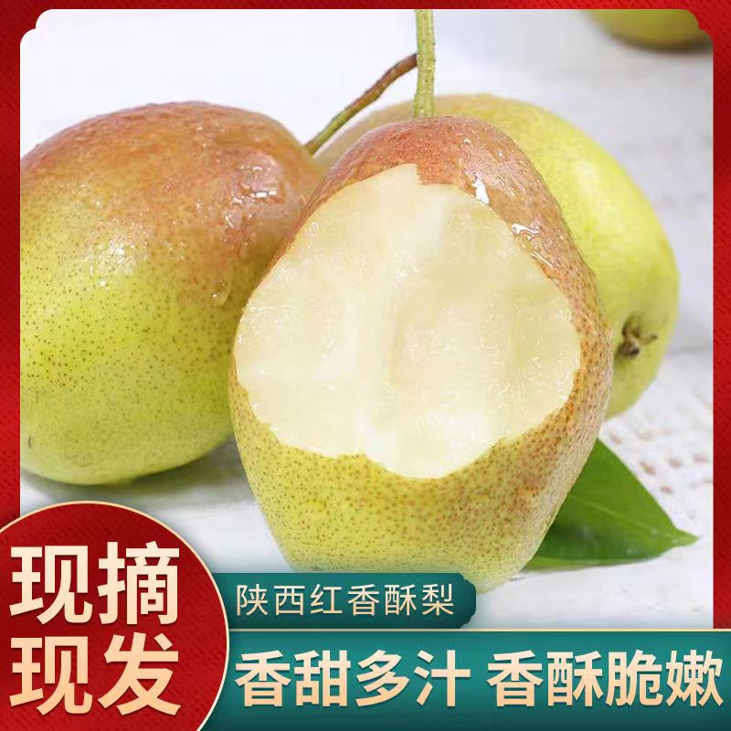 陕西红香酥梨新鲜梨子10斤当季薄皮香梨酥梨脆蜜雪梨水果特产