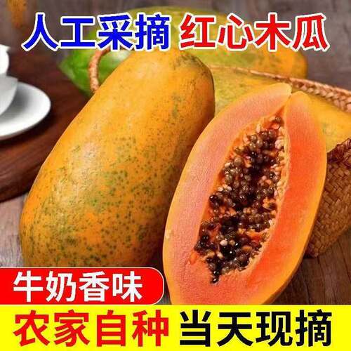 木瓜新鲜水果红心牛奶冰糖青自然熟生长肉细腻产地直供鲜果现摘