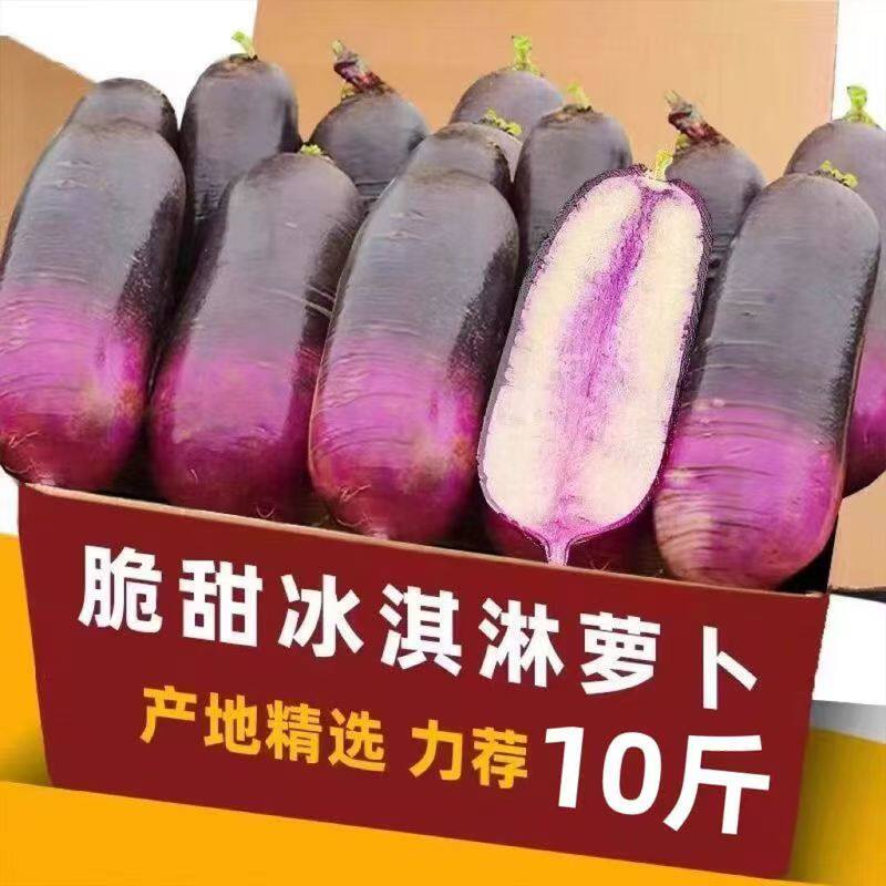 潍坊冰淇淋水果萝卜当季新鲜现挖甜脆冰糖心紫心萝卜即食蔬菜包邮