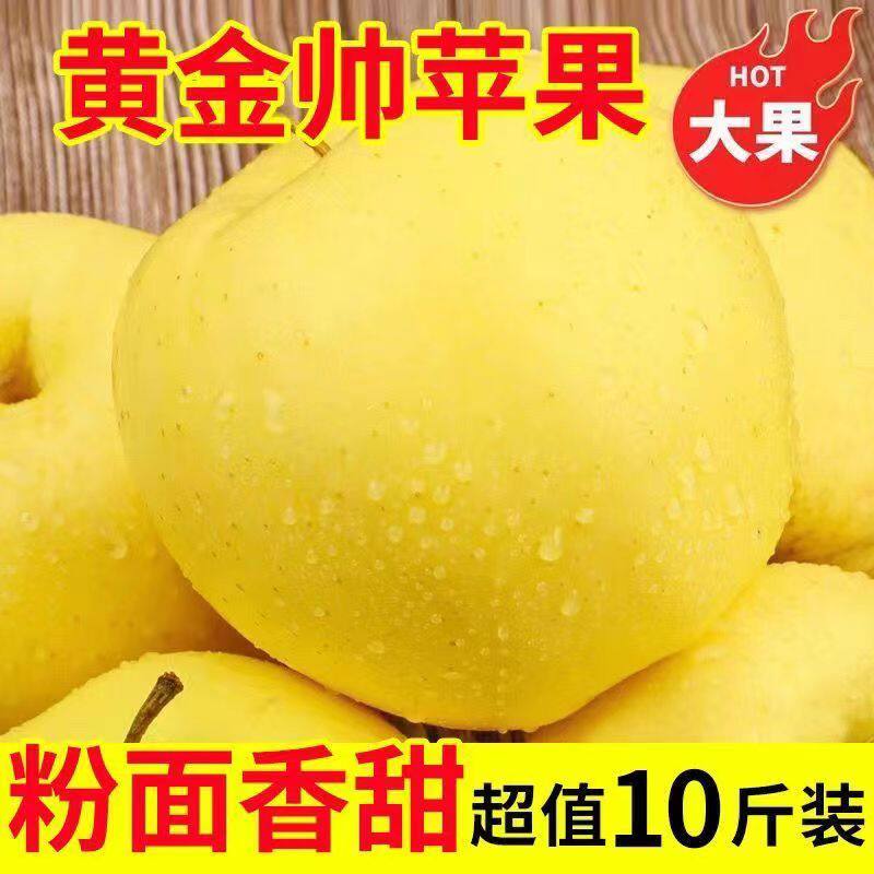 正宗黄元帅新鲜采摘水果粉面黄苹果黄金帅当季鲜果黄香蕉整箱5斤