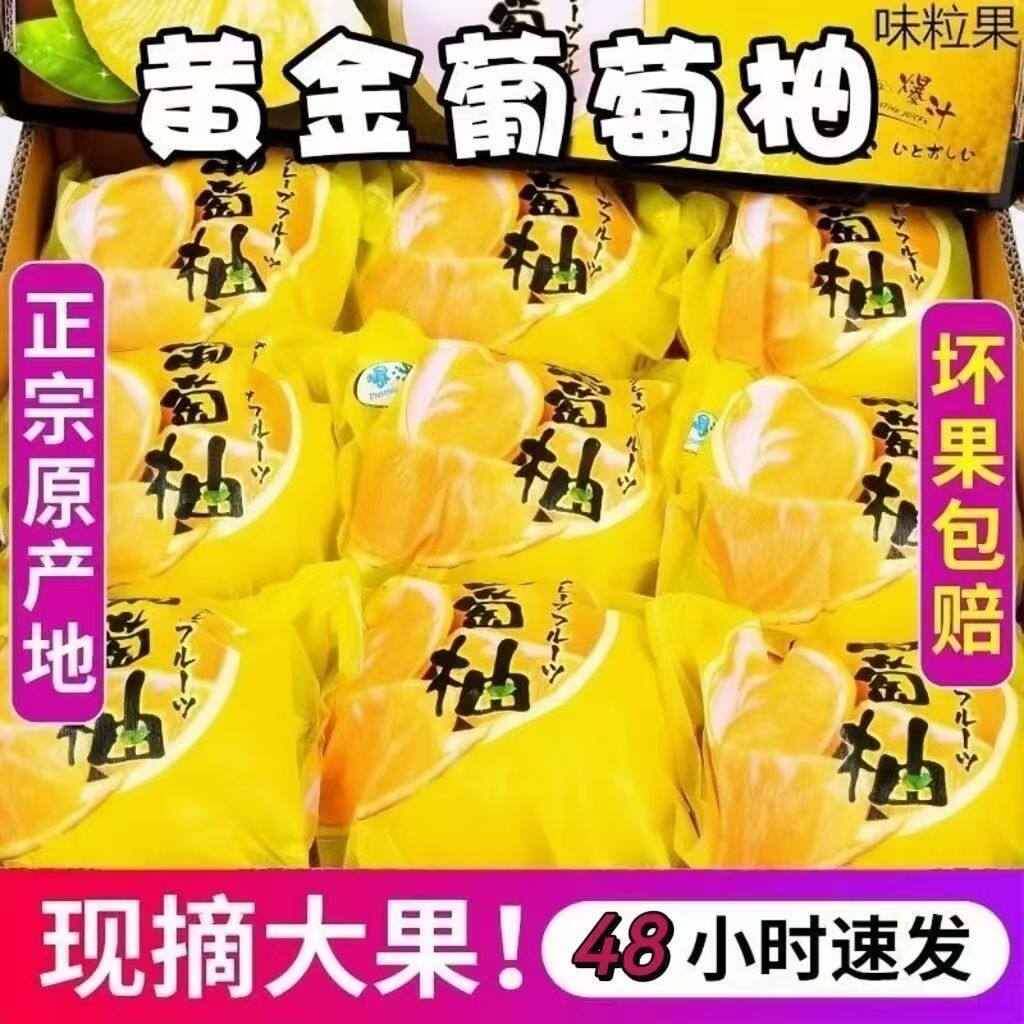 正宗黄金葡萄柚新鲜水果大果当季福建黄肉蜜柚漳州甜西柚整箱包邮