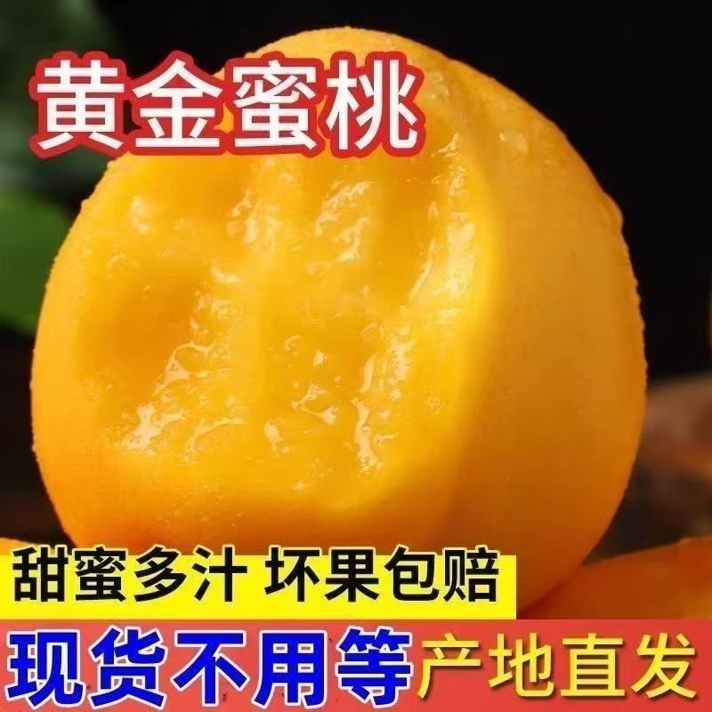 黄桃新鲜水果蜜桃陕西旱塬当季香甜多汁整箱现摘现发坏果包赔