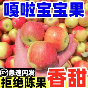 【2024正宗嘎啦苹果现货】5斤粉面嘎啦苹果水果新鲜陕西刮泥