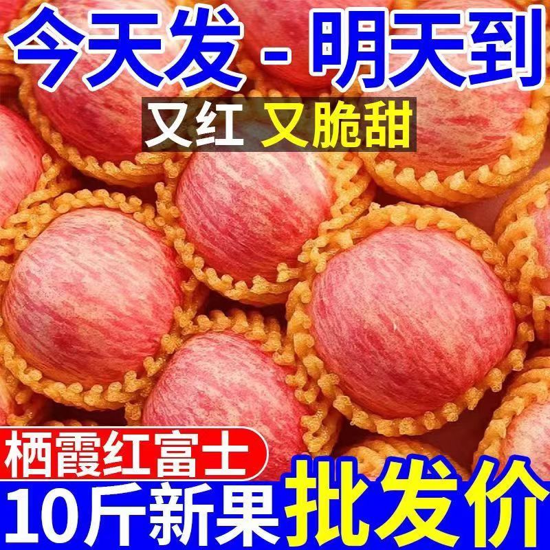 烟台红富士苹果水果新鲜当季时令整箱山东栖霞平果脆甜冰糖心10