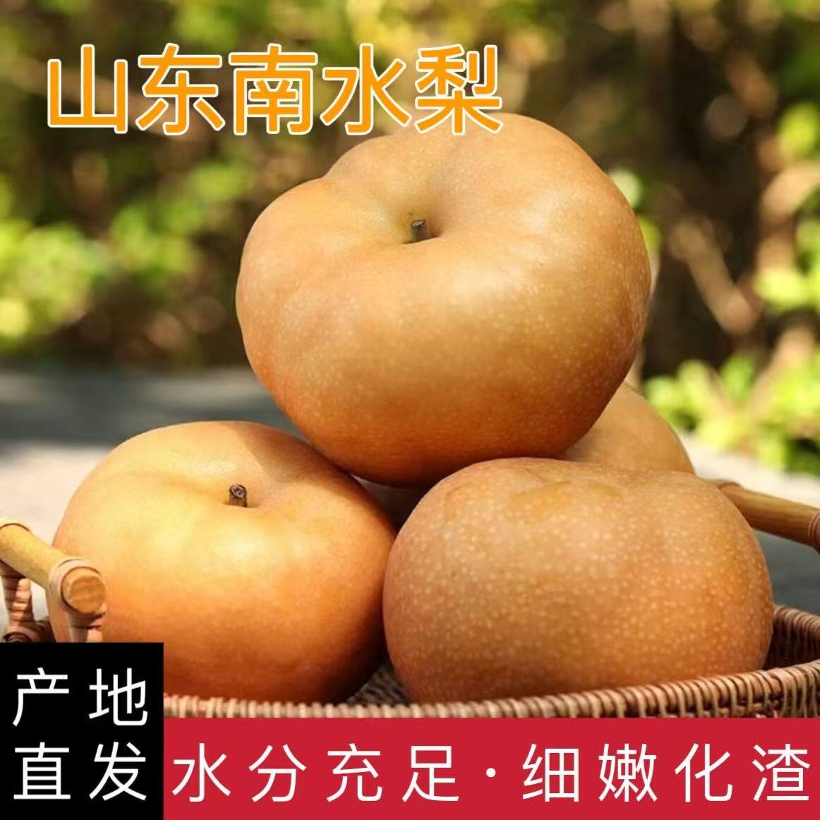 正宗莱阳南水梨大果薄皮蜜梨新鲜应当季水果整箱包邮现摘现发水果