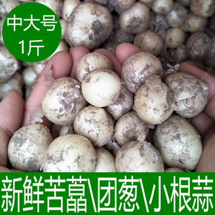 新鲜苦藠团葱小根蒜苦芥野葱头小蒜头四川苦藠头薤白500g 包邮